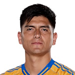 V.洛罗尼亚